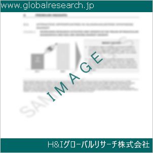 グローバルリサーチ調査資料のイメージ